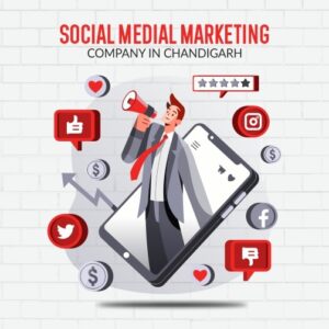 Social Media Marketing Company in Chandigarh