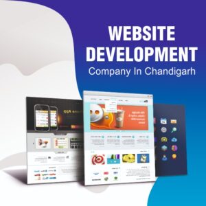 Website development Company in Chandigarh