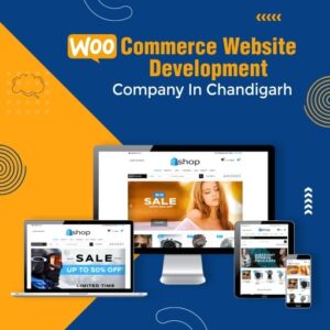 WooCommerce website development Company in Chandigarh 
