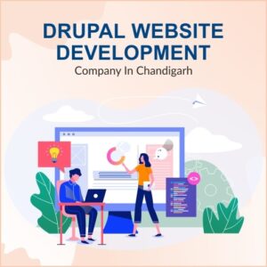 Drupal website development company in Chandigarh