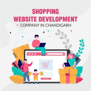 Shopping website development Company in Chandigarh