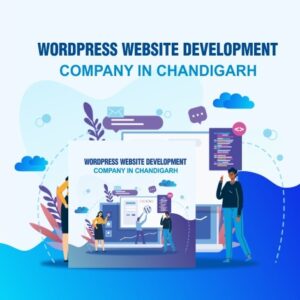 WordPress website development Company in Chandigarh